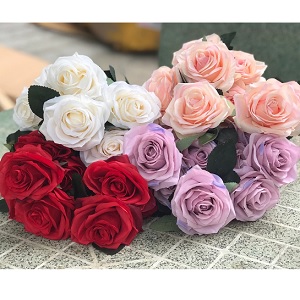 Hoa vải - Hoa hồng Pháp